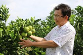 Vào HTX để làm lúa