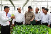 Vốn cho nông nghiệp thoáng hơn