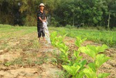 Doanh nghiệp kêu ca bị phân biệt đối xử