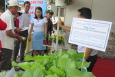 Về Cà Mau, sẽ hối tiếc nếu không thưởng thức đặc sản bồn bồn