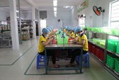 Tận dụng cơ hội tham gia sâu vào chuỗi giá trị
