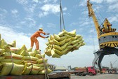 Bộ trưởng Trần Tuấn Anh