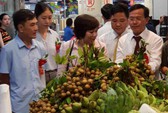 Trái cây Nhật càng đắt càng hút khách