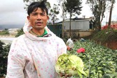 Loay hoay đối phó nông sản Trung Quốc