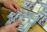 Giá vàng biến động mạnh