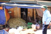 Trung Quốc ngày càng kén chọn nông sản