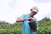 Nông dân làng hoa Sa Đéc bỏ tiền túi làm du lịch