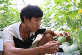 Khởi nghiệp nông nghiệp khó gọi vốn