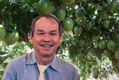 Trường Hải chi 1 tỉ USD vực dậy HAGL