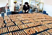 VinaCapital dừng đầu tư tại Ba Huân