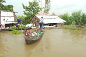 Ứa nước mắt với hình ảnh nông dân trồng mía trắng tay vì lũ