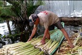 Đặc sản Tây Bắc vào siêu thị