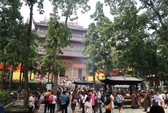 Khánh Hòa lúng túng vì tour giá rẻ