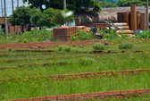 Quay cuồng trong cơn sốt đất: Giá đất tăng phi mã