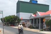 Nuôi yến tràn lan, không dễ sắp xếp