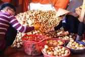 Đà Lạt không