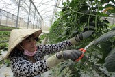 Thủy sản sinh thái, hữu cơ cho người Việt