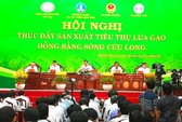 Lập chiến dịch