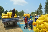 Ngân hàng Nhà nước Chi nhánh Phú Yên chi tiền