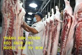 Dịch tả heo châu Phi: Lơ là sẽ là thảm họa cho TP HCM