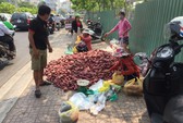 Chiến dịch giải cứu khoai lang lại xuất hiện ở TP HCM?