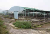 Doanh nghiệp con trai ông Trần Bắc Hà bị “bêu tên” vì nợ thuế
