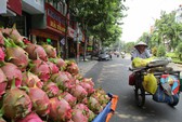 Lo nông sản Việt phải mượn đường Thái Lan để vào Trung Quốc