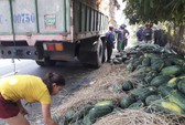 Nông sản Mỹ xuất sang Việt Nam ngày càng nhiều