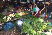 Bắt được cá Đuối