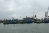 Hải Phòng đứng