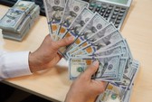 Rủi ro tỉ giá USD/VNĐ tăng, cần linh hoạt để ứng phó