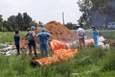 Cả ngàn tỉ đồng, dùng cả quỹ nâng lương để chống dịch tả lợn châu Phi