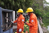 Thanh tra Chính phủ đề nghị EVN phối hợp chặt chẽ khi kiểm tra việc tăng giá điện