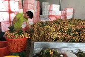 Doanh nghiệp phải thay đổi tư duy về thị trường Trung Quốc