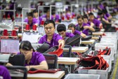 Vì sao doanh nghiệp thích xuất khẩu hơn bán hàng trong nước?