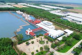 Ngành sữa có thêm thị trường 1,4 tỉ dân