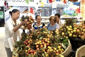 200.000 đồng chỉ mua được 12 trái vải thiều hữu cơ