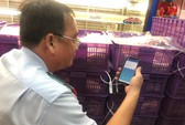 Công bố ổ dịch tả heo châu Phi đầu tiên ở TP HCM