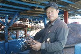 Giá lên, 1.000 tấn mực khô ở Quảng Nam thoát cảnh ứ đọng
