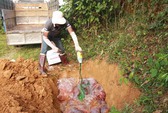 Thu giữ hơn 30 tấn thịt trâu, bò, heo, gà, vú heo… đông lạnh không rõ nguồn gốc