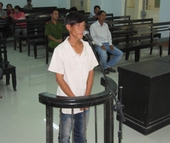 Ngồi tù 9 tháng vì đốt cháy 246 cây xoài