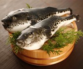 5 món ăn kỳ lạ nhất hành tinh, nên thử một lần trong đời