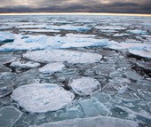 Bể nước ấm khổng lồ đang "nung chảy" Bắc Cực