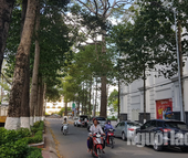 Kiến nghị kiểm điểm chủ tịch UBND TP Trà Vinh