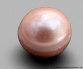 Mục kích viên ngọc trai 8.000 năm tuổi