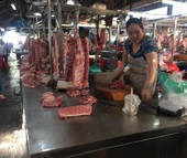 Giá heo tiếp tục tăng, phía Bắc có nơi lên tới 92.000 đồng/kg