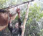 2 nghề “độc” ở Cà Mau được công nhận di sản văn hóa phi vật thể quốc gia