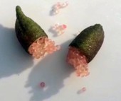 Miền Tây xuất hiện quả chanh tí hon chứa cả ngàn hạt trứng cá long lanh