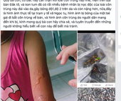 Bất thường thương lái thu mua bọ độc 3 sọc giá "trên trời"