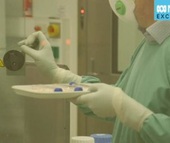 Đột phá toàn cầu: Úc nuôi cấy được “virus Vũ Hán” trong phòng thí nghiệm